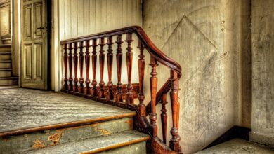 Die besten Orte für eine Luxus-Schiffsreise