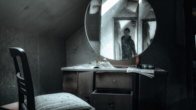 Die besten Orte um in die lokale Kultur einzutauchen